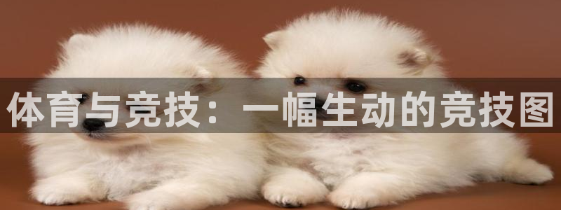 凯发官方正版app娱乐平台:体育与竞技:一幅生动的竞技图