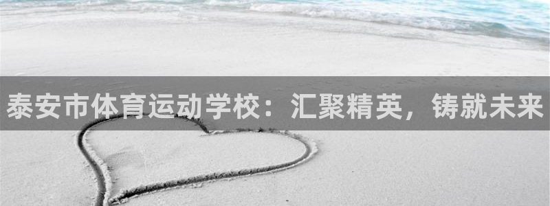 凯发官网下载招商电话地址查询:泰安市体育运动学校:汇聚精英,