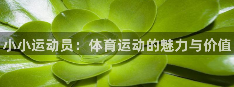 凯发官网下载联系电话:小小运动员:体育运动的魅力与价值